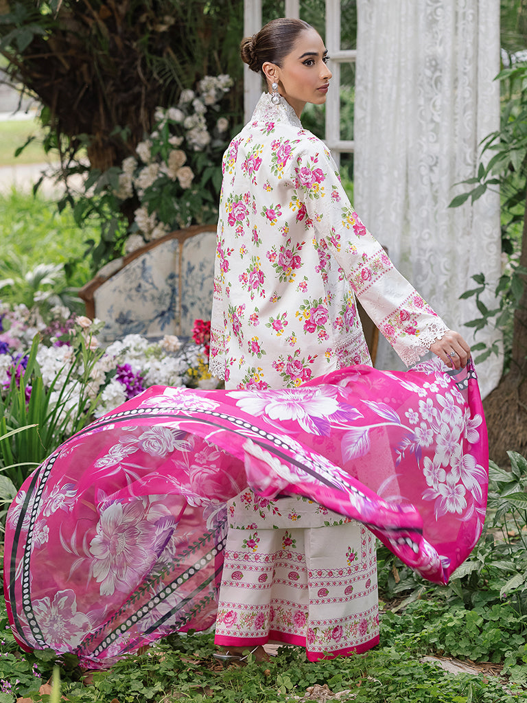 Rajbari | Schiffli Printkari Exclusive | Schiffli Printkari - 02