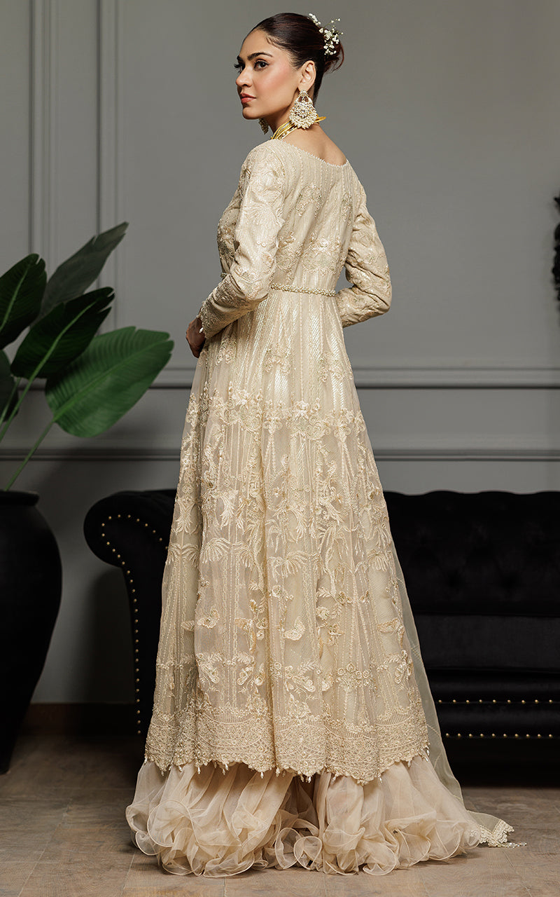 Threads and Motifs | Formal Dresses 25 | Net Embroidered Maxi