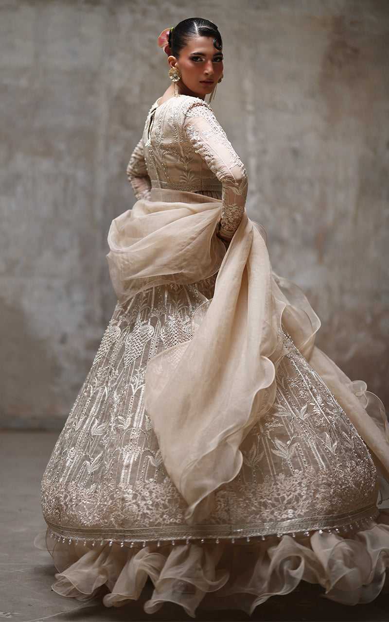 Threads and Motifs | Formal Dresses 25 | Organza Embroidered Blouse And Lehenga