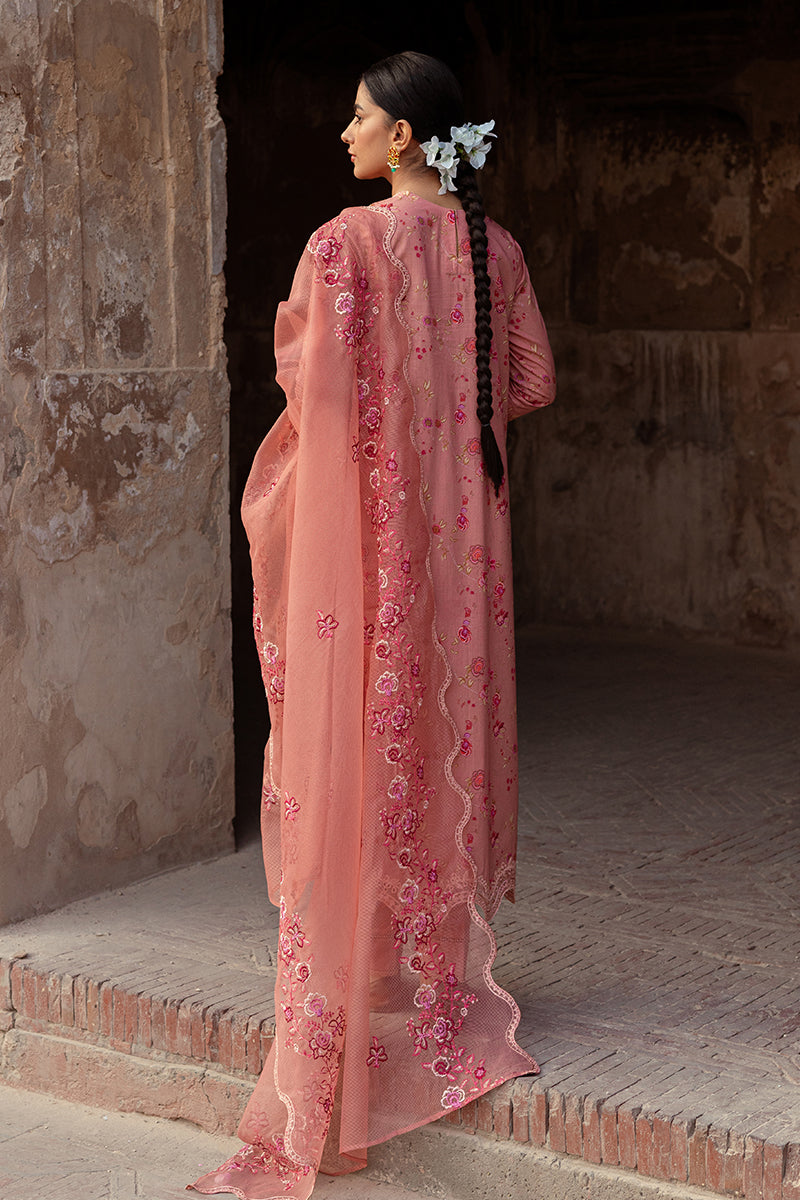 Cross Stitch | Premium Lawn 24 | APRICOT CHARM