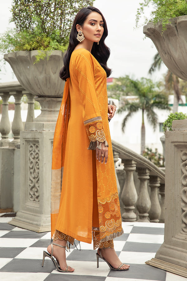 House of Nawab | Lawn Collection 24 | ZAVOSH