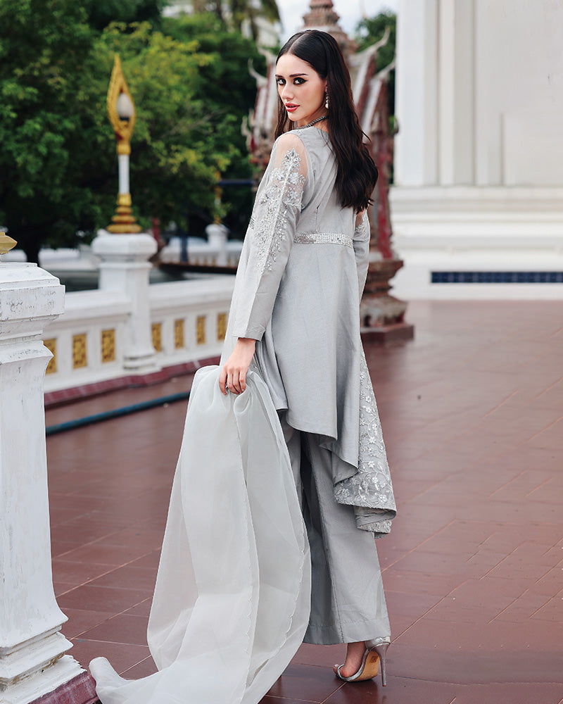 Ain | Prestige Festive Edit | AN-146 C AN-146 C