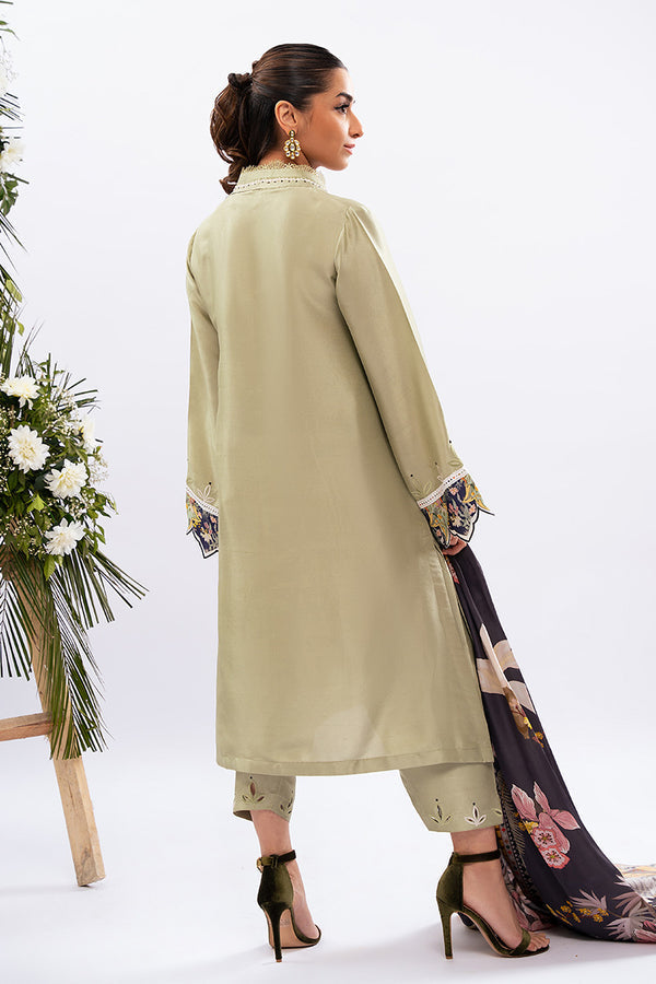 Amna Arshad | Zolu Collection 24 | Dilara