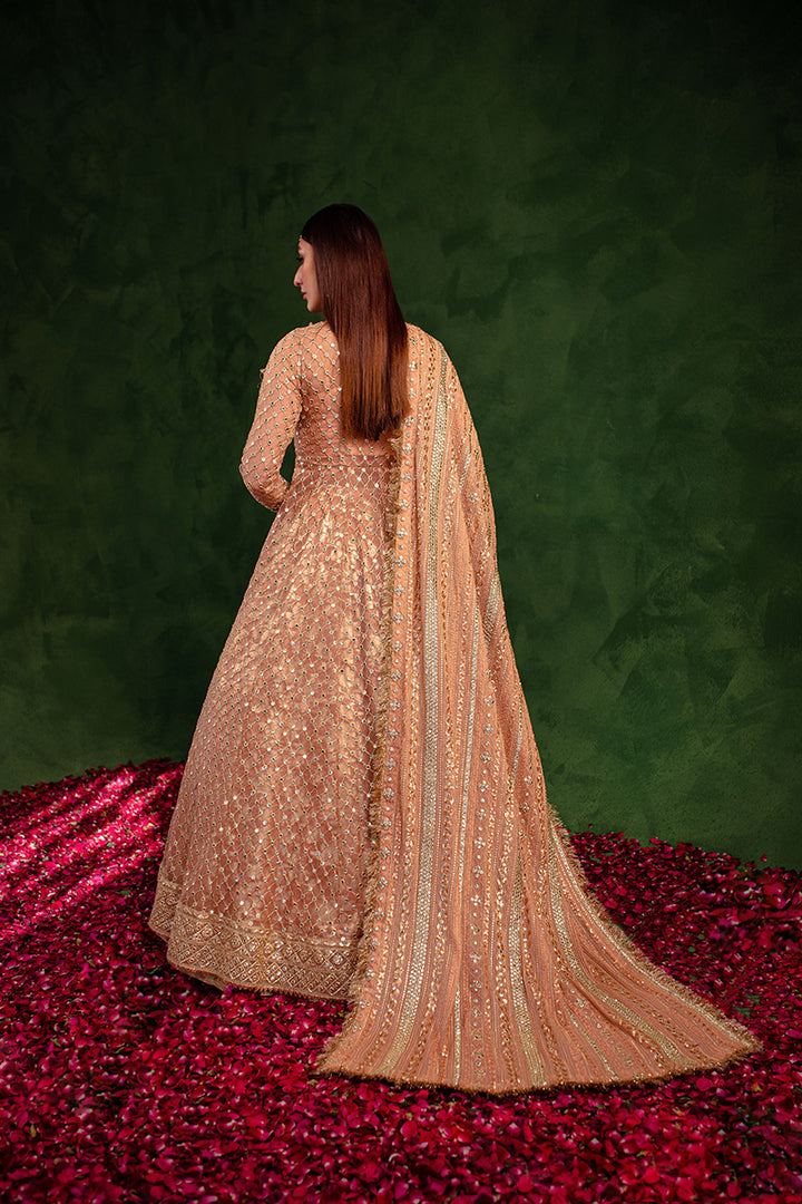 Maria Osama Khan | Salma Sitara | VASL