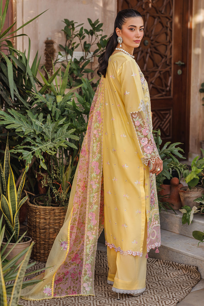 Rajbari | Amali Festive Lawn | 2-A