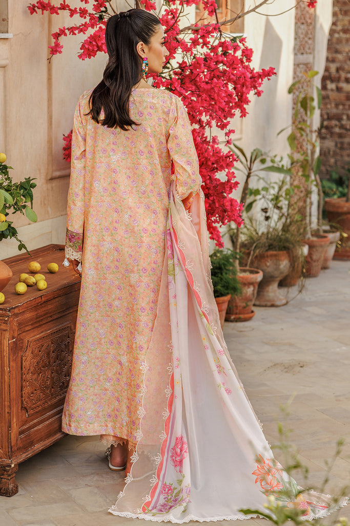 Rajbari | Amali Festive Lawn | 5-B
