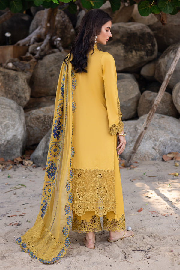 Marjjan | Mavi Lawn | MLL-23 B (MUSTARD)
