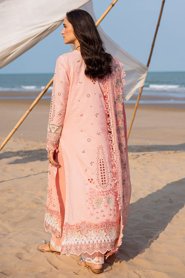 Marjjan | Mavi Lawn | MLL-24 A (PEACH)