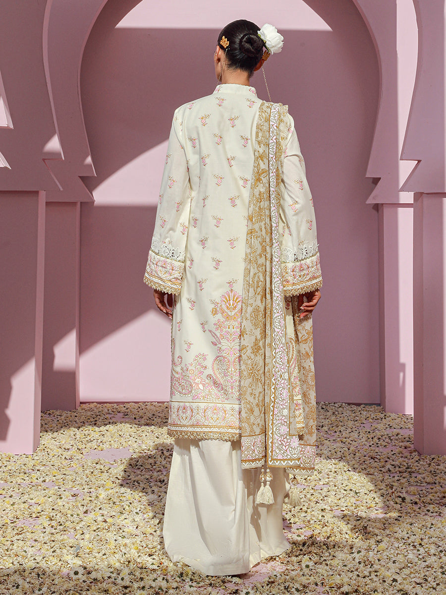 Salitex | Eid Edition | D25