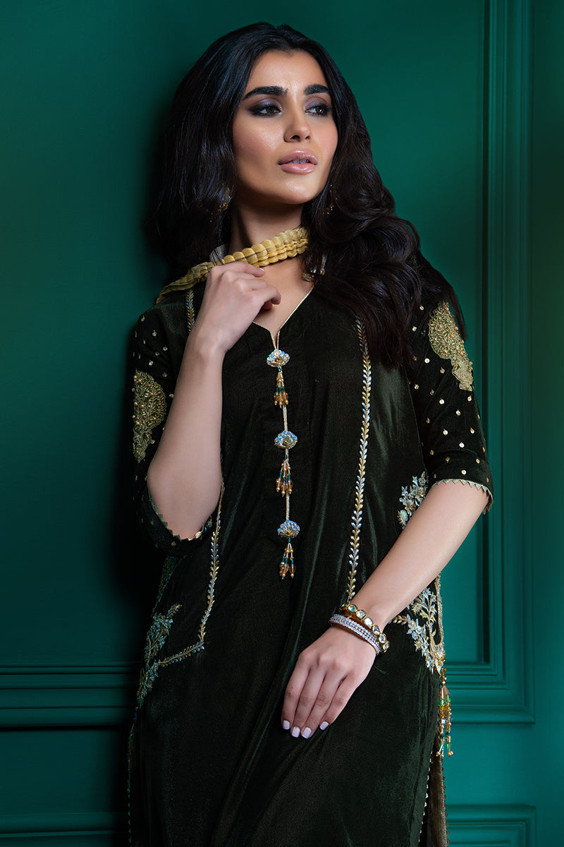 Wardha Saleem | Velvets Winter Fall 24 | Guldaan