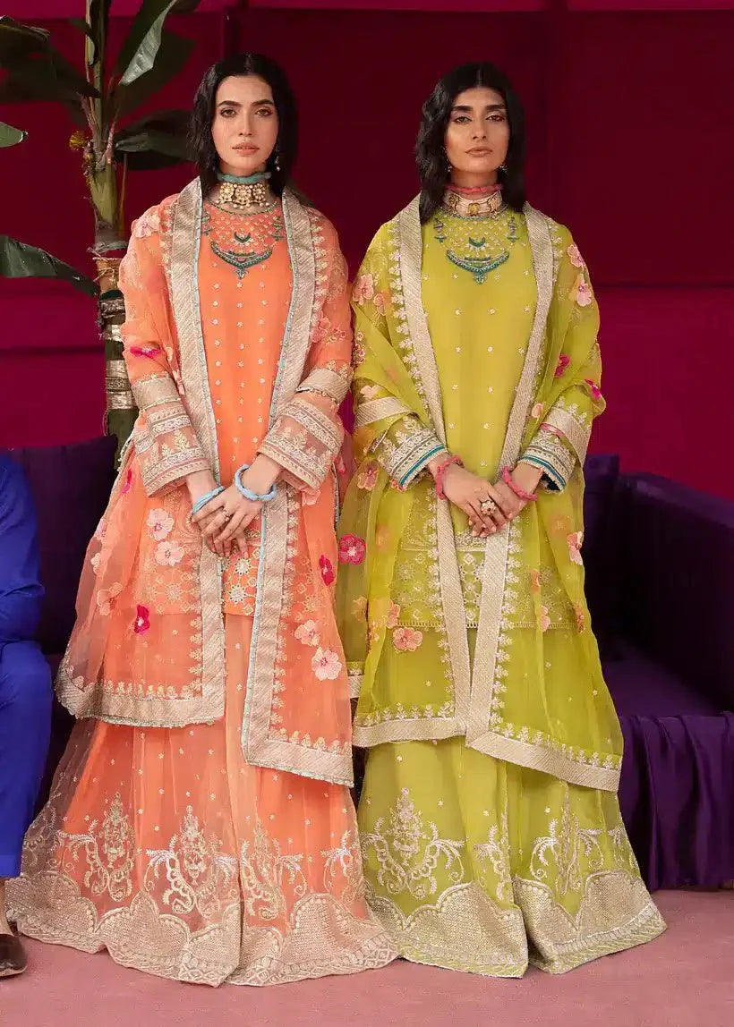 Ali Xesshan | Bhaag Lagay Rain | ANGORI BAGH ÃÂ¢- LP-010