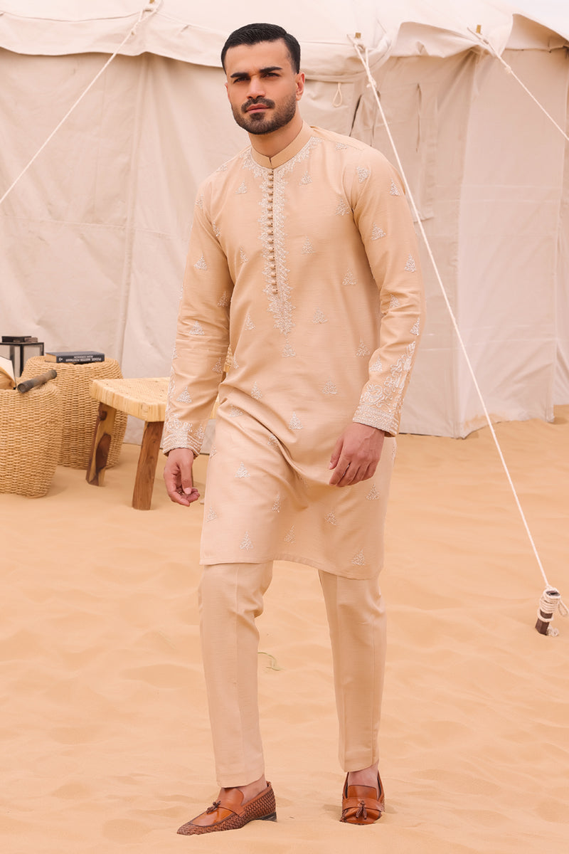 Pakistani Menswear | QAL-JS-02